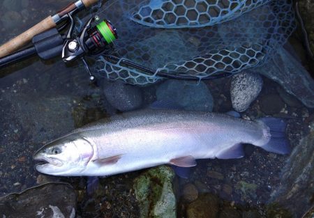 強風に苦戦 ～天竜川ルアーフライ専用区～
